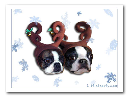 Boston Terriers Birthday Party Card