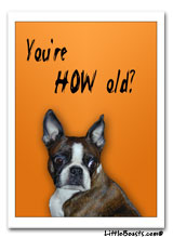 You're how old!? Birthday Card