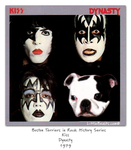 Boston Terriers in Rock History