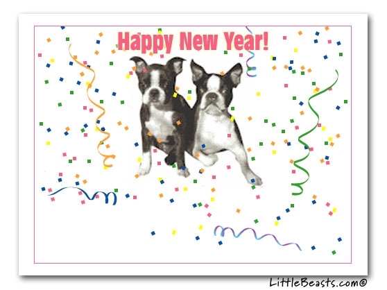 Happy New Year