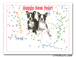 boston terrier birthday card