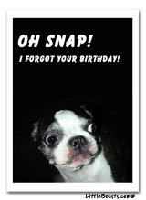 oh snap! belated birthday e-card