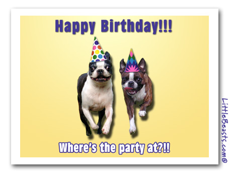 Boston Terriers Birthday Party Card