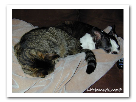 Bergamot & Charlie