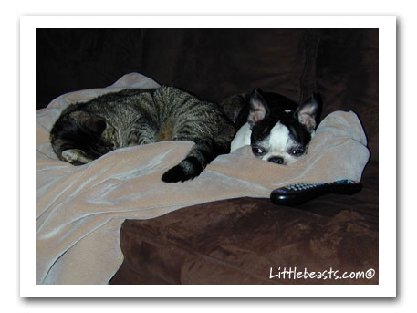 Bergamot & Charlie