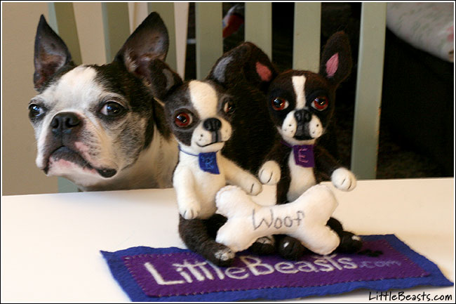 Bergamot and Boston terrier dolls