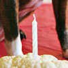 Cauliflower Birthday Cake