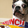 Candy!