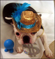 pimp