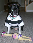 Halloweenie Contestant