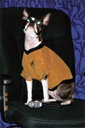Captain Ripley Ann Kirk of the Starship Enterprise