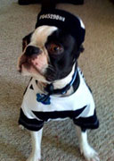 Halloweenie Contestant