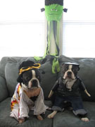 Halloweenie Contestant