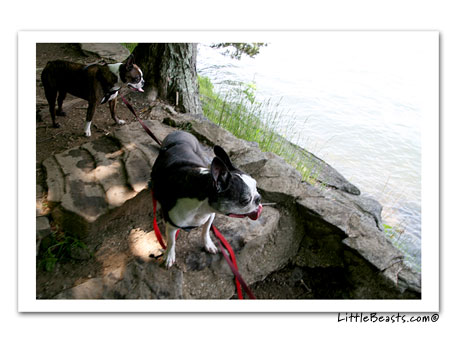 Bergamot & Emrys lake walk