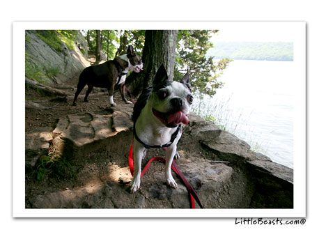 Bergamot & Emrys lake walk