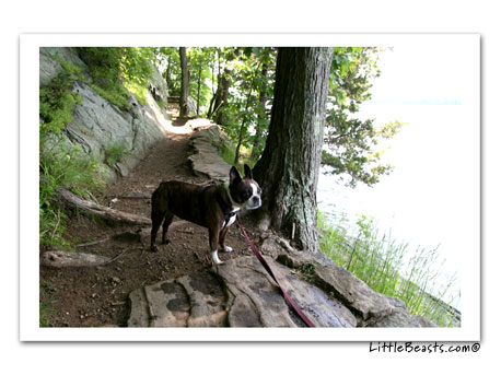 Bergamot & Emrys lake walk