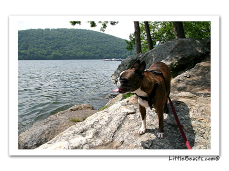 Emrys at the lake