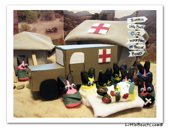 boston terriers and peeps contest