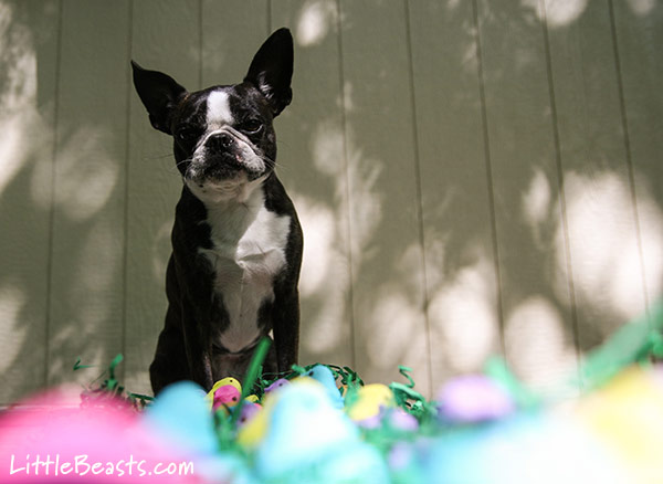 Brandi surveying her peepscape.
