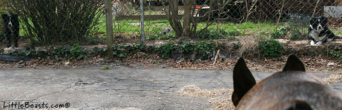 Emrys finds a spring surprise