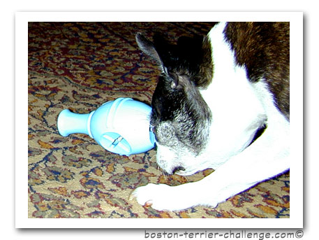 mini leo toy test4