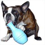 dog toyreview mini leo