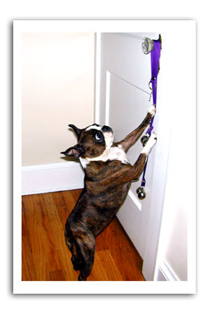 emrys  training bells
