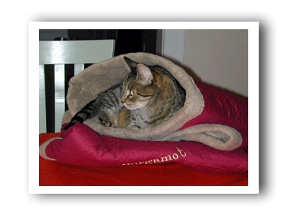 Charlie Snuggle Sack