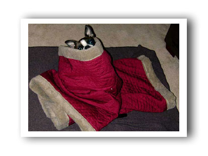 Em Snuggle Sack2