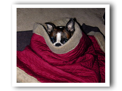Em Snuggle Sack