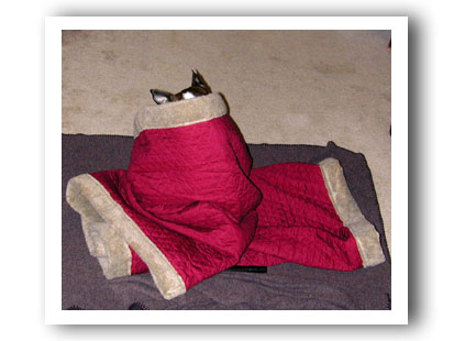 Em Snuggle Sack