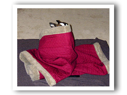 Em Snuggle Sack