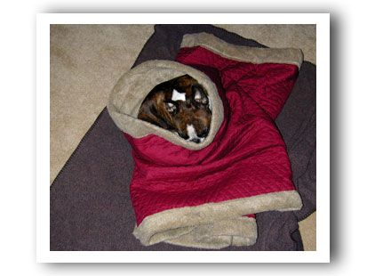 Em Snuggle Sack